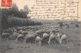 CPA 91 PATURAGES AU BORD DE L'YERRES / MOUTONS / Cliché Rare Avec Le Berger - Sonstige & Ohne Zuordnung