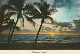 Bahamian Sunset, Bahamas - Bahama's