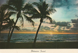 Bahamian Sunset, Bahamas - Bahamas