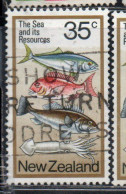 NEW ZEALAND NUOVA ZELANDA 1978 KINGFISH SNAPPER GROUPER AND SQUID 35c USED USATO OBLITERE' - Oblitérés