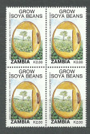 Zambia, 1991 (#555d), Grow Soya Beans, Field, Vegetables, Gemüse, Verdure, Legumes, Trees, Árboles, Arbres - Agriculture