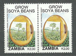 Zambia, 1991 (#555c), Grow Soya Beans, Field, Vegetables, Gemüse, Verdure, Legumes, Trees, Árboles, Arbres - Agriculture