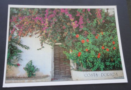 Costa Dorada - Siesta Cards - Postales I.B.G., Vistanella La Secuita (Tarragona) - # 1.342 - Tarragona