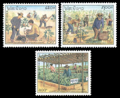 LAOS 1991 - YT 1019-21 ; Mi# 1267-69 ; Sc 1049-51 MNH Arbor Day - Laos