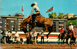 Canada Calgary Stampede Bronc Riding 1959 - Calgary