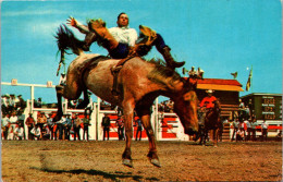 Canada Calgary Stampede Bronc Riding  - Calgary