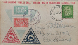 PIGEONGRAM SERVICE - GREAT BARRIER - AUCKLAND - AUXILIARY MARKING - FDC