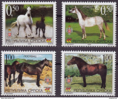 Bosnia - Rep. Srpska 2003  Fauna - Horses - Set Of 4  MNH ** - Ferme