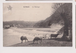 Cpa Rivage  1912   Moutons - Comblain-au-Pont