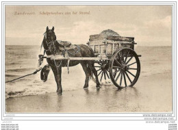 ZANDVOORT ..--  Attelage .  Schelpvisschers  Aan Het Strand . - Zandvoort