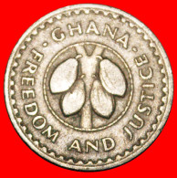 * GREAT BRITAN (1967-1979): GHANA  10 PESEWAS 1967 COCOA! · LOW START! · NO RESERVE! - Ghana