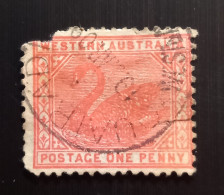 Australie Occidentale 1902 Black Swan - New Watermark - 1P Oblitéré - Used Stamps