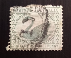 Australie Occidentale 1905  Black Swan & Queen Victoria - New Watermark – ½P Oblitéré - Oblitérés