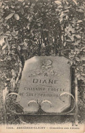 ANIMAUX - Chiens - Clichy Asnières - Cimetière Des Chiens -  A Diane Chienne Fidèle -  Carte Postale Ancienne - Cani