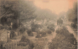 MILITARIA - Cimetière -  Carte Postale Ancienne - War Cemeteries