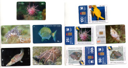 Croatia, Underwater Life, Fish, Lot 5 Cards - Fische