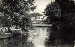 FRANCE - Valence - Le Parc Jouvet - Etang - Cygne -  Carte Postale Ancienne - Valence