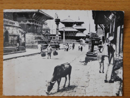 Népal - Kathmandou -  Un Aspect Du Quartier Des Temples - Népal