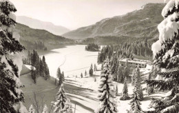 ALLEMAGNE - Spitzingsee Gegen Stolzenberg, Bayer - Alpen - Colorisé - Carte Postale Ancienne - Other & Unclassified