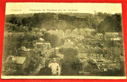 POULSEUR  -   Panorama De Poulseur Pris  De Montfort - Comblain-au-Pont