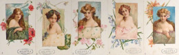 Haviland, Frank Lot Mit 5 Künstlerkarten Serie Symboles Des Fleurs Reklame Chicoree Arlatte Jugendstil I-II (rs Kleine K - Non Classificati