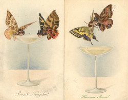 Künstler-Karte Verlag M. Munk Wien Serie 552 Lot Mit 2 Ansichtskarten Vermenschlichte Schmetterlinge I-II - Sin Clasificación