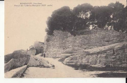 Carte France 84 - Bonnieux - Portail Des Chèvres Remparts ( XiiI Siècle )- Prix Fixe  - ( Cd056) - Bonnieux