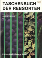 Buch Taschenbuch Der Rebsorten Von Hillebrand, Lott Und Pfaff 1990, Fachverlag Fraund Mainz, 490 S. I-II - Sonstige & Ohne Zuordnung