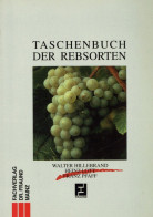 Buch Taschenbuch Der Rebsorten Von Hillebrand, Lott Und Pfaff 1993, Fachverlag Fraund Mainz, 462 S. I-II - Sonstige & Ohne Zuordnung