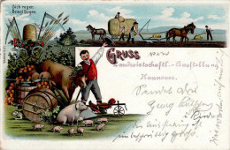 Landwirtschaft - HANNOVER Gruss Von LANDWIRTSCHAFTL.-AUSSTELLUNG Mit S-o V. 1903 I Paysans Montagnes - Other & Unclassified