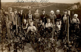 Wein Harxheim Weinlese 1921 Foto-AK I-II Vigne - Altri & Non Classificati