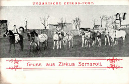 Zirkus Semsrott Ungarische Czikos-Post I-II - Circus