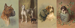 Hund über 100 Stk. Motiv Hunde Ab Ca 1910 Bis 70er Jahre I-II Chien Chien - Honden