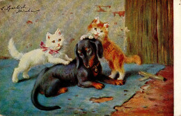 Dackel Mit 2 Katzen 1931 I-II (Ecken Abgestossen) Chat - Cani