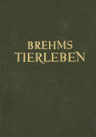 Buch Brehms Tierleben In Einem Band Von Georg Grimpe 1928, Verlag Bibliographisches Institut Leipzig, 837 S. II - Altri & Non Classificati