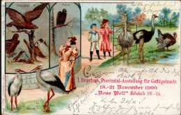 Geflügel, Brandenburg (o-1800) 1- Provinzial Ausstellung Für Geflügelzucht 18.-21. November 1900 Steinadler, Stroch, Gei - Oiseaux