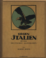 Buch WK I Gegen Italien Mit Dem Deutschen Alpenkorps Ein Erinnerungwerk Von Albert Reich Kriegsteilnehmer 1920, Selbstve - Weltkrieg 1914-18