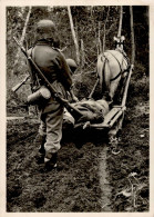 Kampf Der SS-Gebirgsdivision Nord In Karelien, Verwundetentransport Auf Sumpfschlitten, I-II - Weltkrieg 1939-45