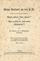 Judaika Broschüre Meine Antwort An Den C.V. Wann Ruft Der Jude Alarm? 1930 Hrsg. Pfarrer Münchmeyer Düsseldorf 31 S. (le - Judaika