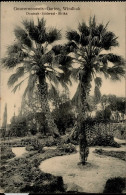 Kolonien Deutsch-Südwestafrika Windhuk Gouvernements Garten Stempel Windhuk 17.12.1912 I-II Colonies - Geschichte