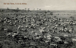 Kolonien Deutsch-Südwestafrika Farm I-II (Marke Entfernt) Colonies - Geschichte