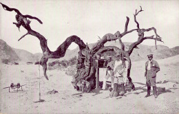 Kolonien Deutsch-Südwestafrika Feldtelefon-Station Mit Hauptmann Franke I-II (Eckbug) Colonies - Geschichte