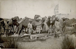 Kolonien Deutsch-Südwestafrika Foto-AK Schutztruppen Mit Kamelen I-II (Marke Entfernt) Colonies - Geschichte