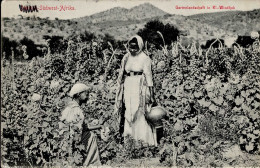 Kolonien Deutsch-Südwestafrika Klein-Windhuk Garten I-II Colonies - Histoire