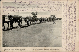 Kolonien Deutsch-Südwestafrika Ochsenwagen I-II Colonies - Geschichte