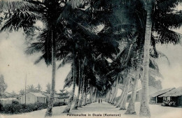 Kolonien Kamerun Duala Palmenallee Stempel Duala 08.12.1909 I-II Colonies - Geschiedenis