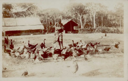 Kolonien Kamerun Frau Beim Hühner Füttern I-II Colonies - History