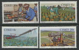 Ciskei:Unused Stamps Serie Packing, Harvesting, Spraying, Despatch To The Cannery, 1982, MNH - Ciskei