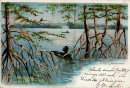 Kolonien Kamerun Sanaga Fluß Litho Stempel Rio Del Rey 11.10.1901 I-II Colonies - Storia