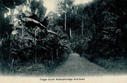 Kolonien Kamerun Träger Durch Kakaoplantage Kommend Stempel Duala 16.09.1910 I-II Colonies - Geschichte